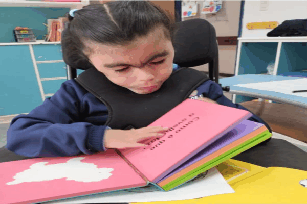 #1 - Educação Especial.png